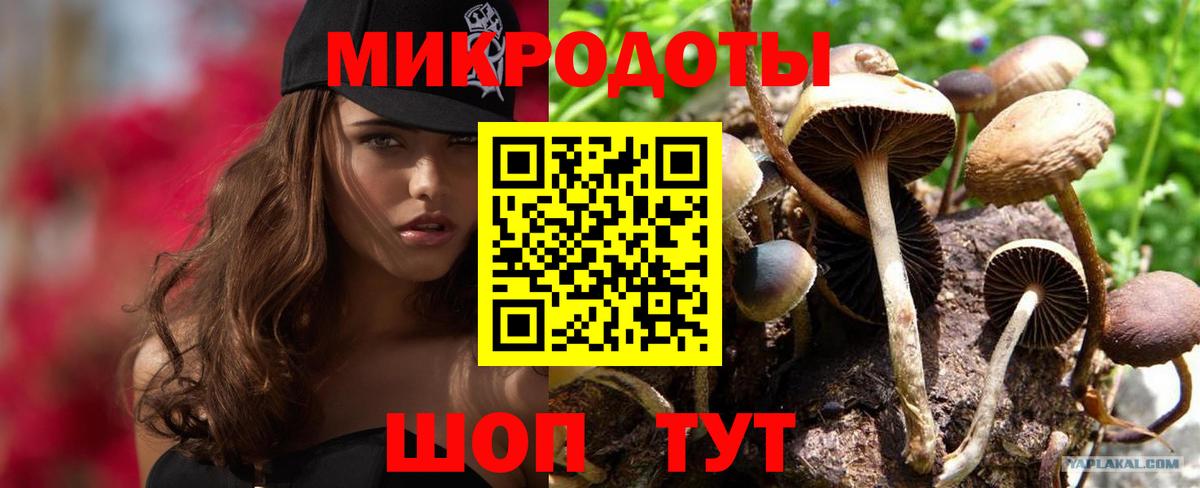 Псилоцибиновые грибы ЛСД Якутск